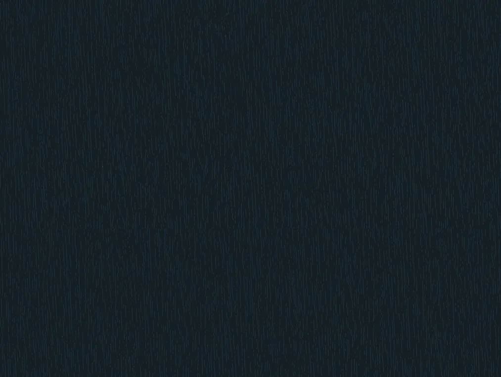 Gris anthracite