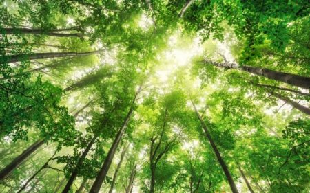 environnement OKNOPLAST
