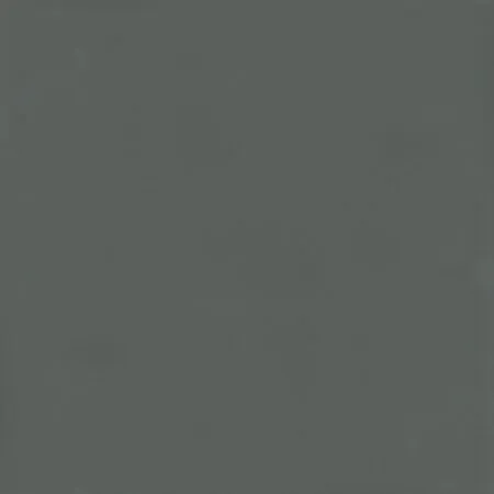 gris basalte mat
